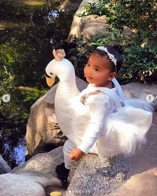 baby swan halloween costume