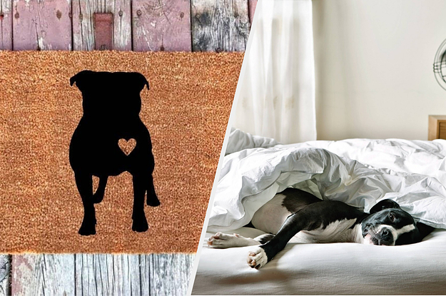 19 Gifts For Anyone Who's Obsessed With Their Pit Bull