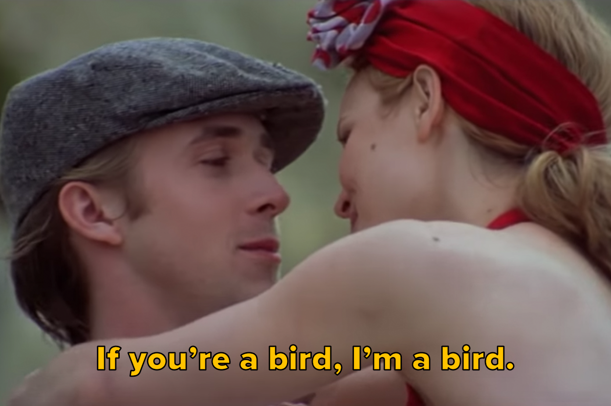 If you're a bird, I'm a bird.