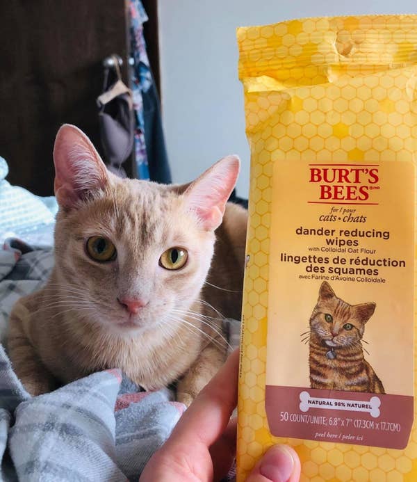 23 Problem Solving Products For Cat Owners