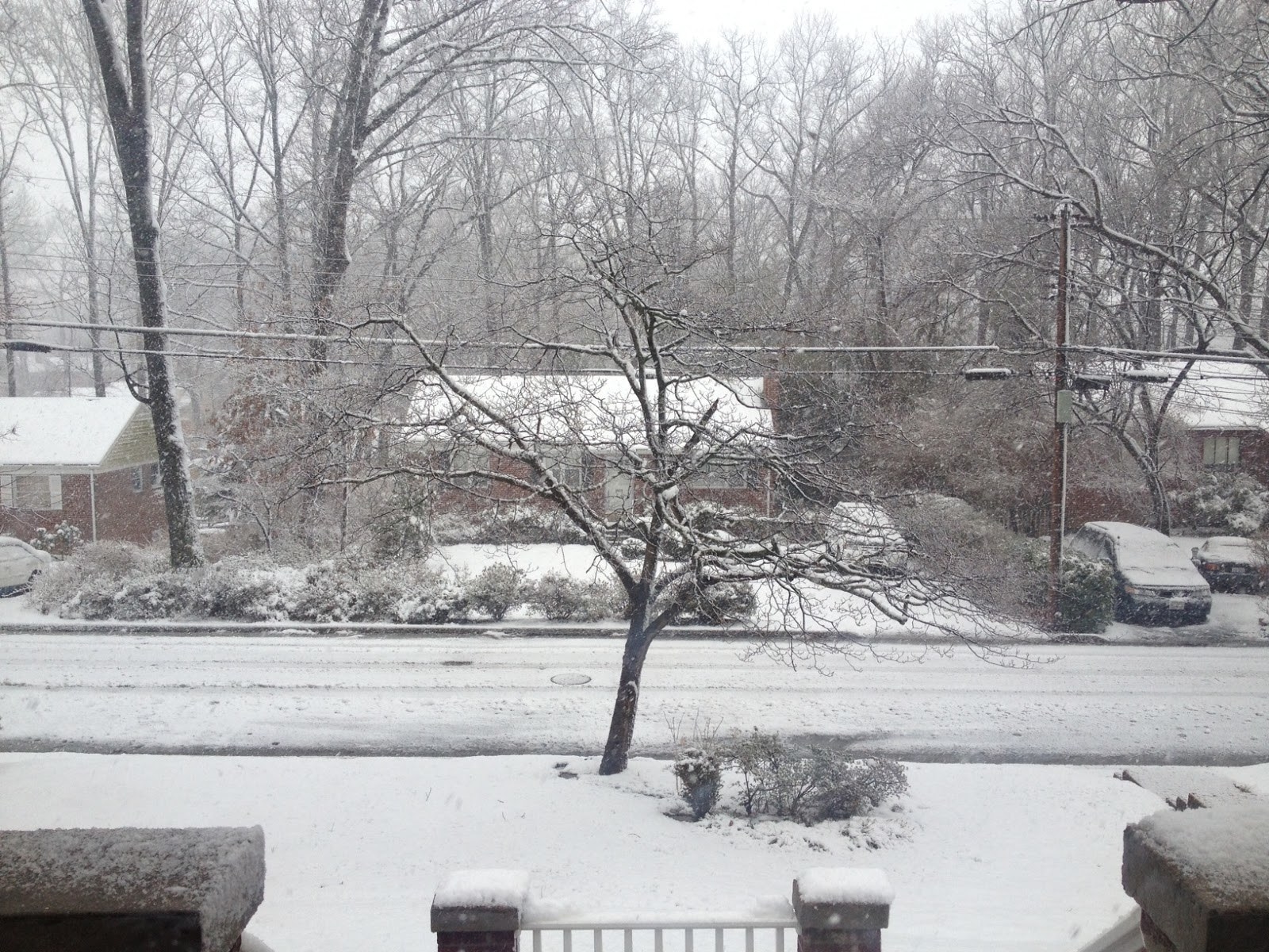 A snow-covered road in a residential neighborhood