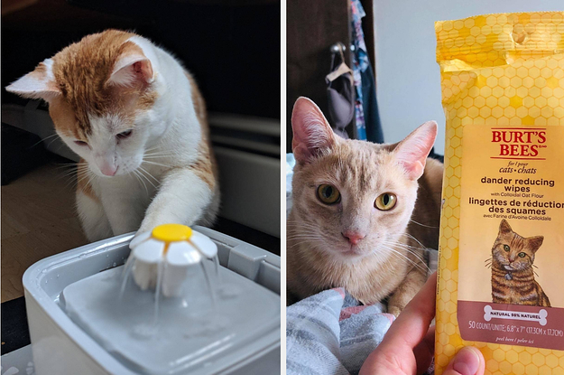 23 Problem-Solving Products For Cat Owners