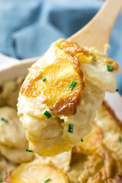 38 Vegan Holiday Recipes For Thanksgiving Christmas Or Any Cold