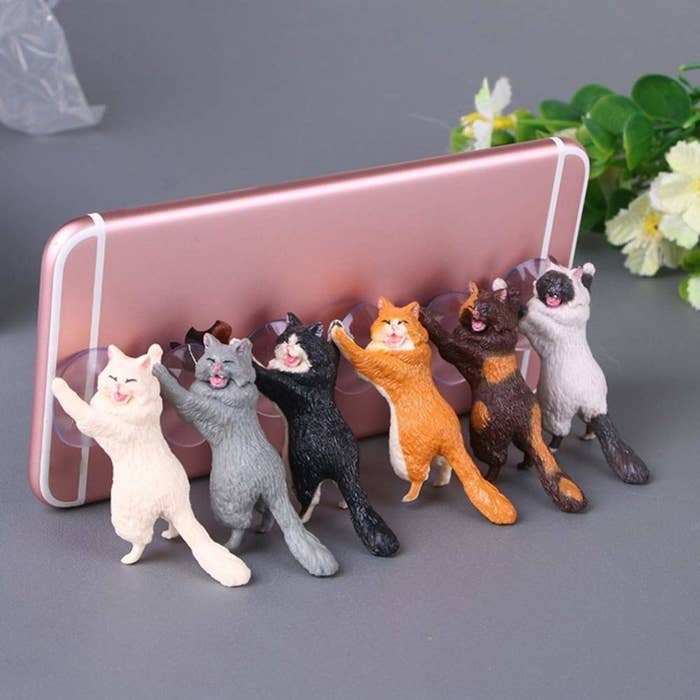 Six small cats with suction cups on the paws holding up a phone