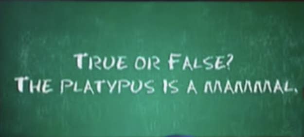 Are You Smarter Than A 5th Grader Quiz