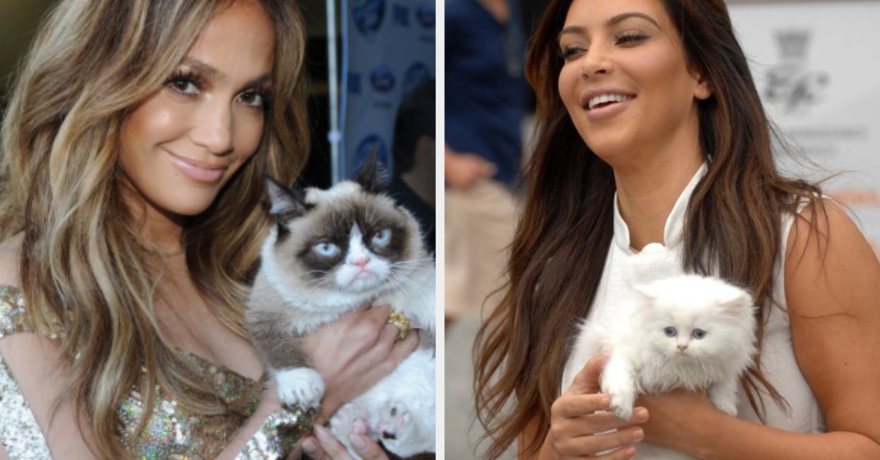 Quiz Choose Some Kittens And We'll Tell You Your Mental Age