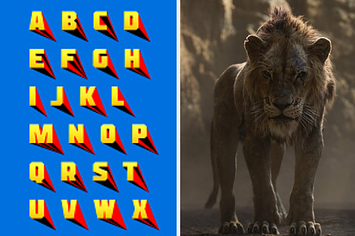 We Know Which Animal Matches Your Personality Based On Your Name