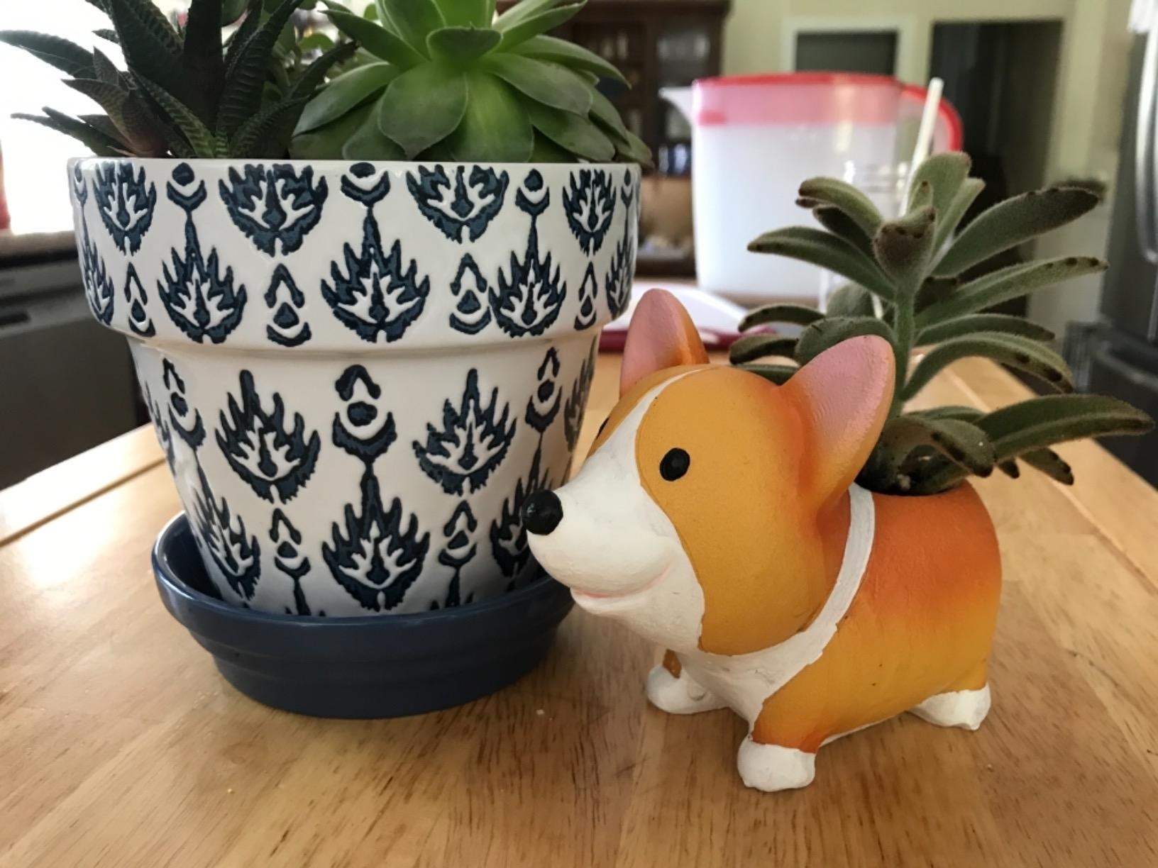 A reviewer showing the really small corgi-shaped holder with a plant coming out of the top