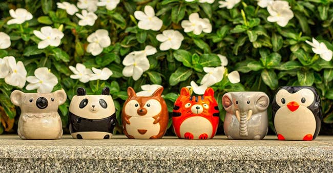 small pots shaped like a koala, panda, fox, tiger, elephant, and penguin 