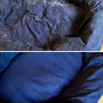 On the top, a pet bed covered in fur, and on the bottom, the same pet bed now free of fur