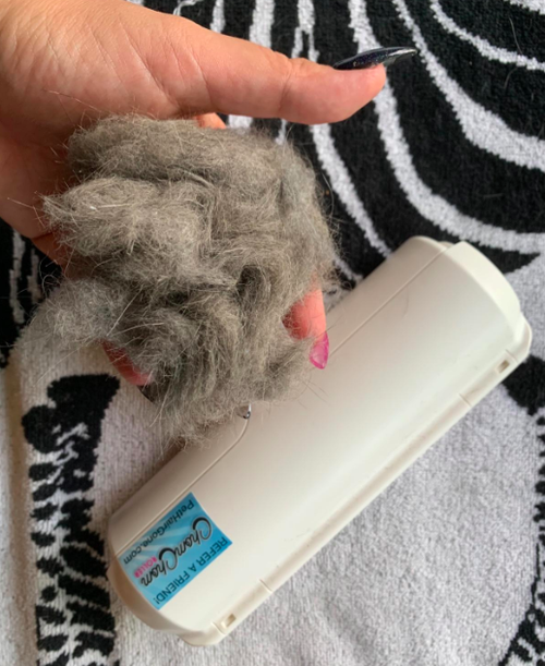 A reviewer holding a clip of fur that the roller was able to catch
