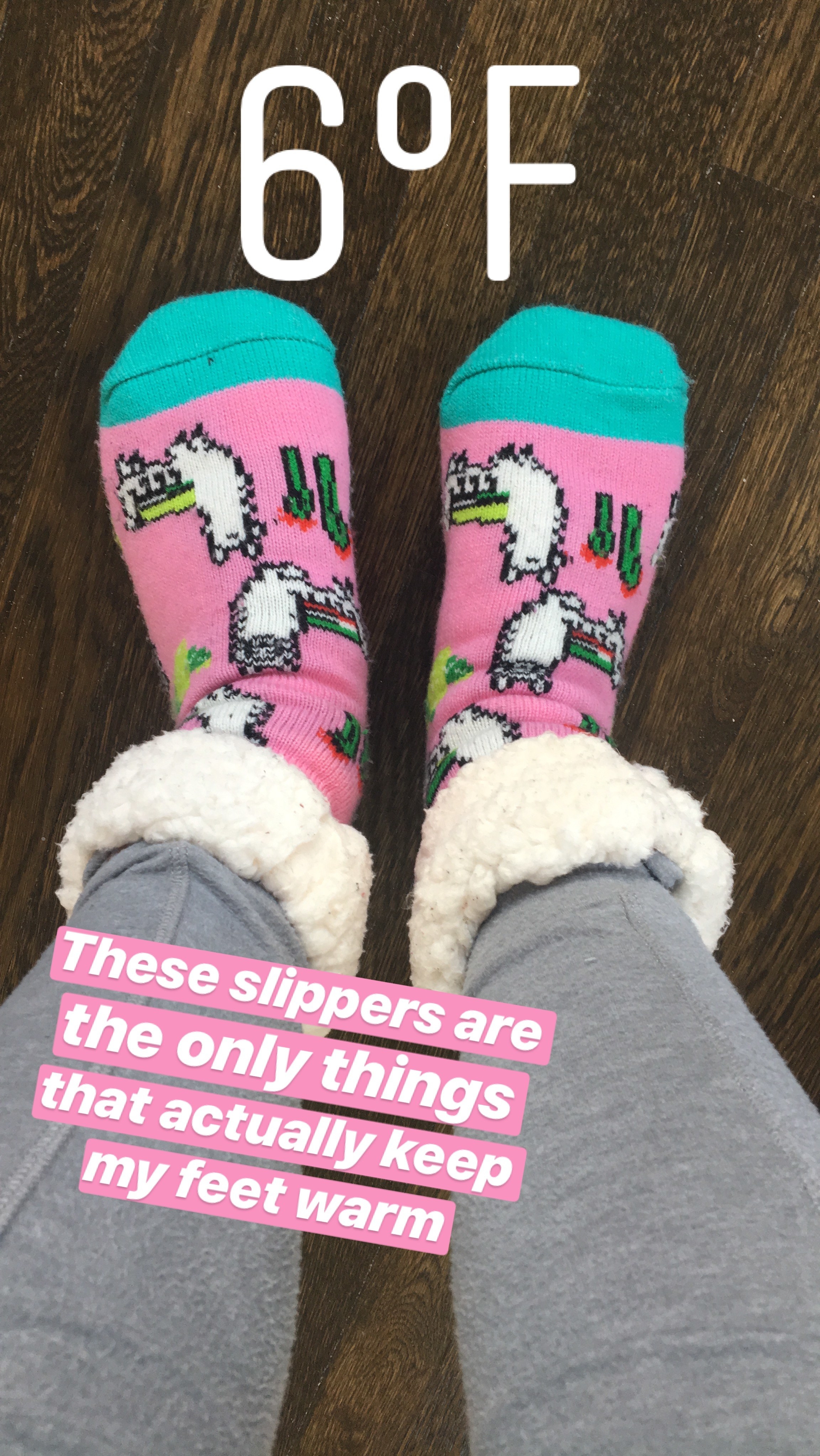 BuzzFeed editor&#x27;s feet in the socks, with text to show it was 6 degrees Fahrenheit and saying &quot;these slippers are the only things that actually keep my feet warm&quot;