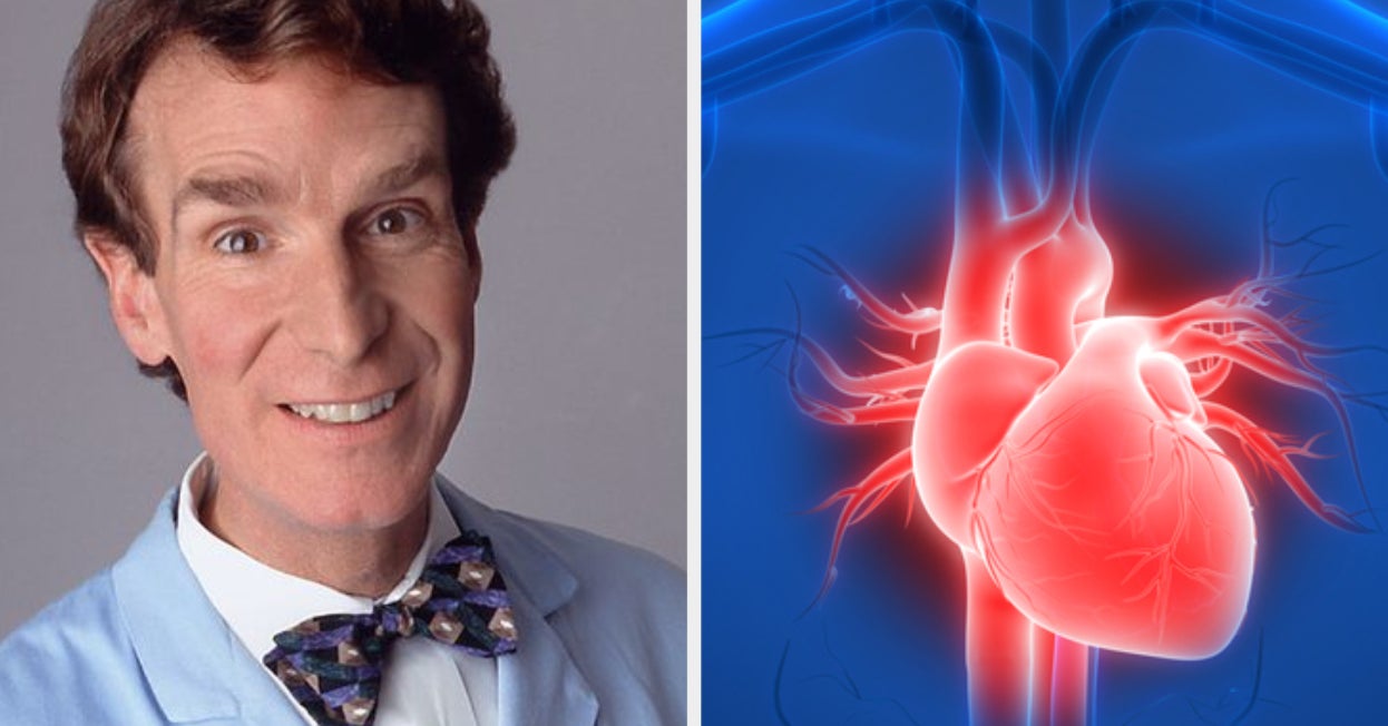 Quiz Let's Put Your Biology Knowledge To The Test