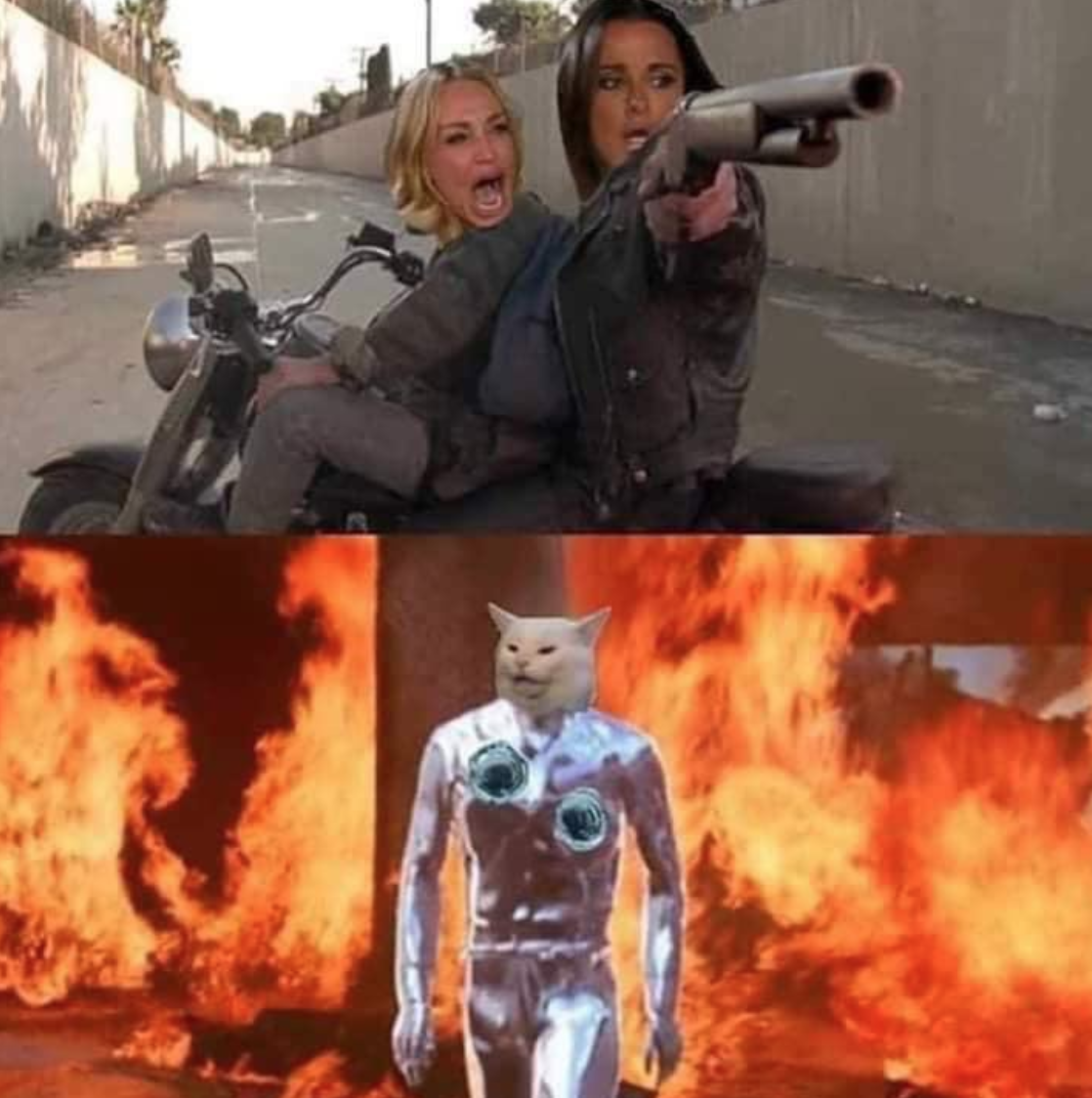 21 Memes About The “Terminator” Series That'll Make You Laugh And Maybe Cry