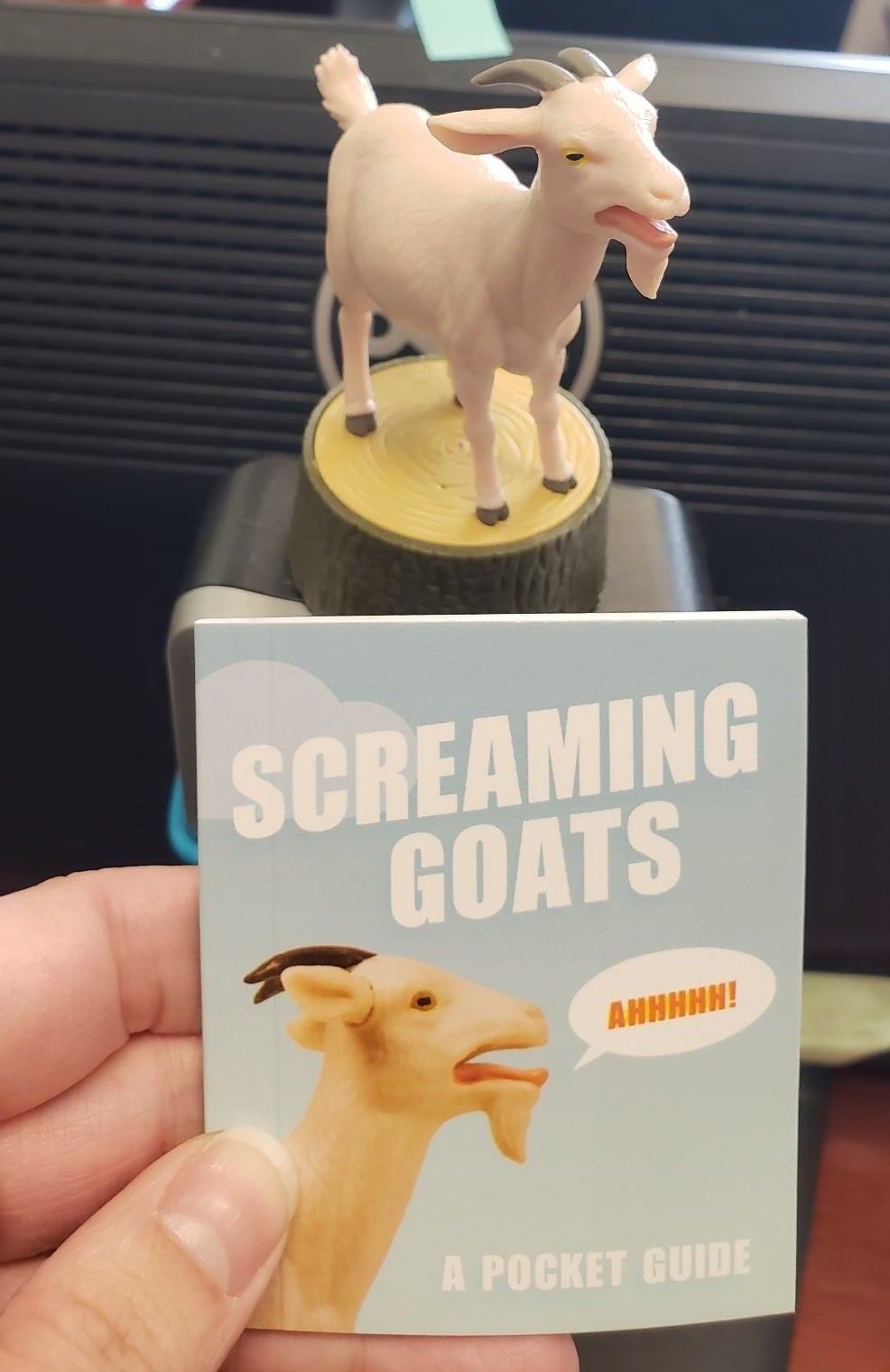 the screaming toy goat and a small pocket guide 