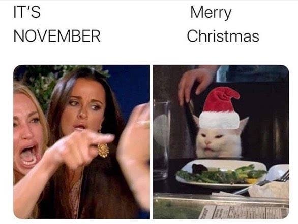 27 Woman Yelling At A Cat Memes That Have Kept Me Laughing So Hard