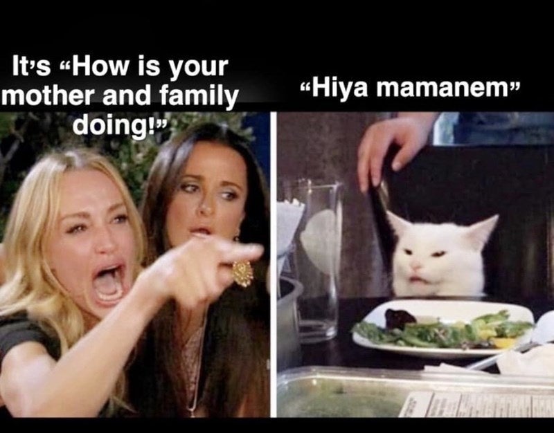 Featured image of post Woman Yelling At Cat Birthday Meme / #woman yelling at a cat.