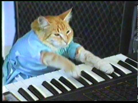 13 Problems That Are Waaaaay Too Real For Anyone Who Plays The Piano