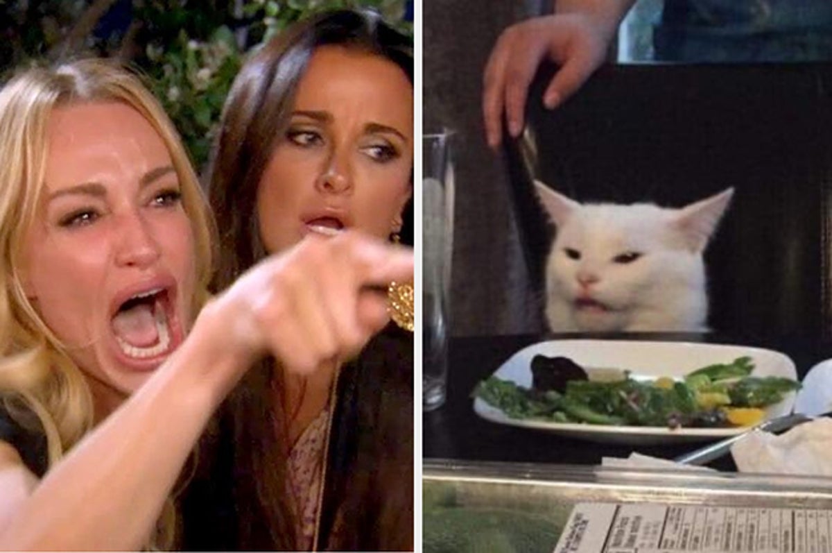 Taylor Armstrong is the Woman Yelling at a Cat Behind the Meme.