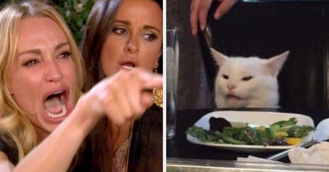 27 "Woman Yelling At A Cat" Memes That Have Kept Me Laughing So Hard