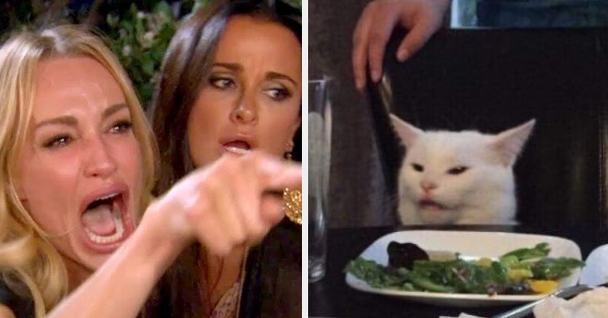 Woman Yelling At A Cat Know Your Meme