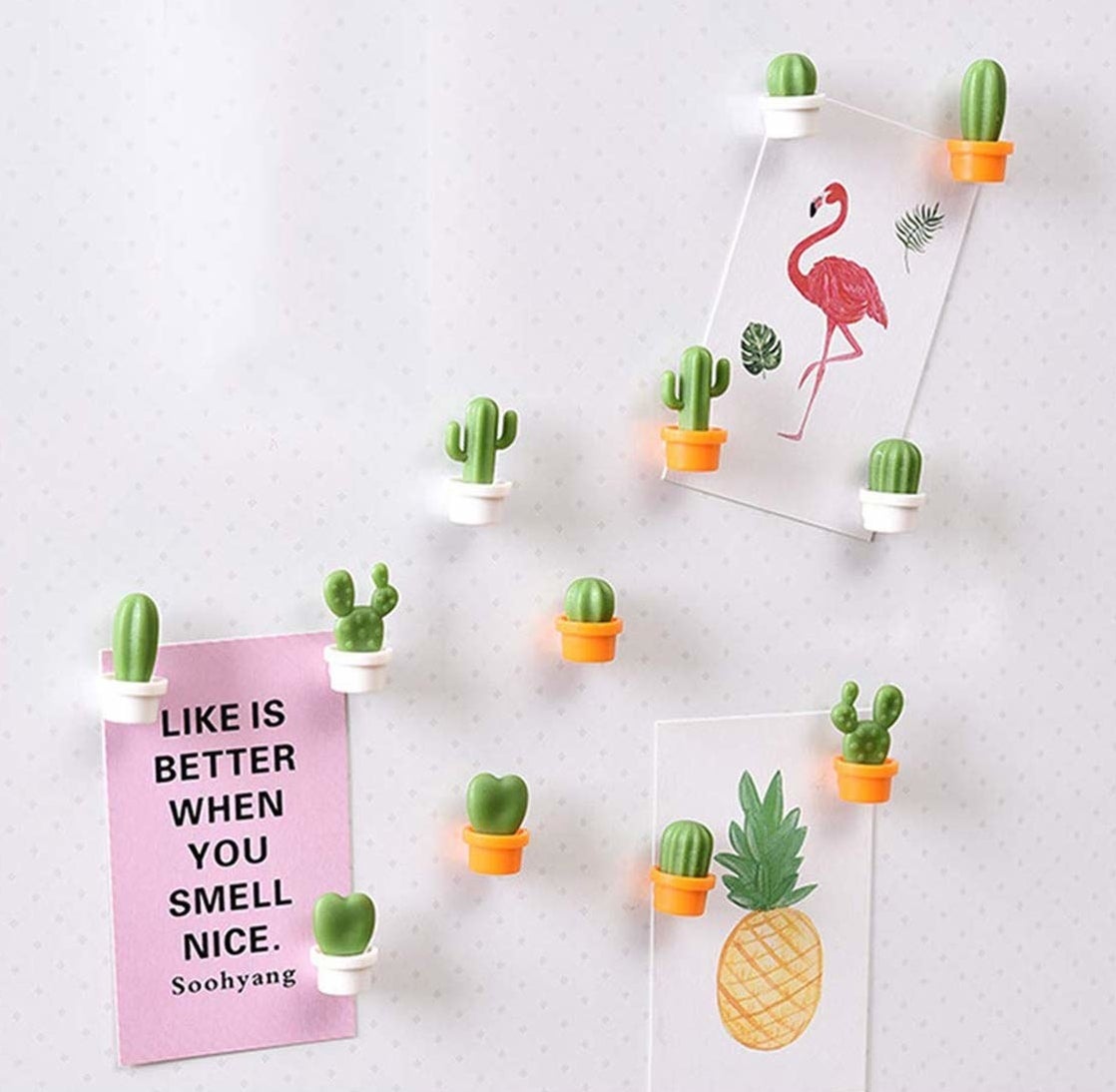 Cactus magnets holding up postcards on a magnetic board