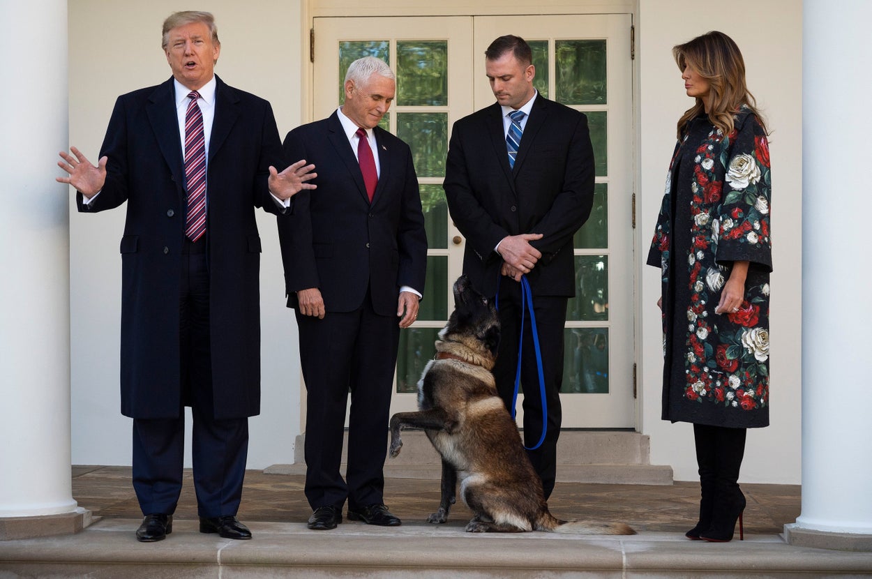 Trump Greets Military Dog From Baghdadi Raid At White House