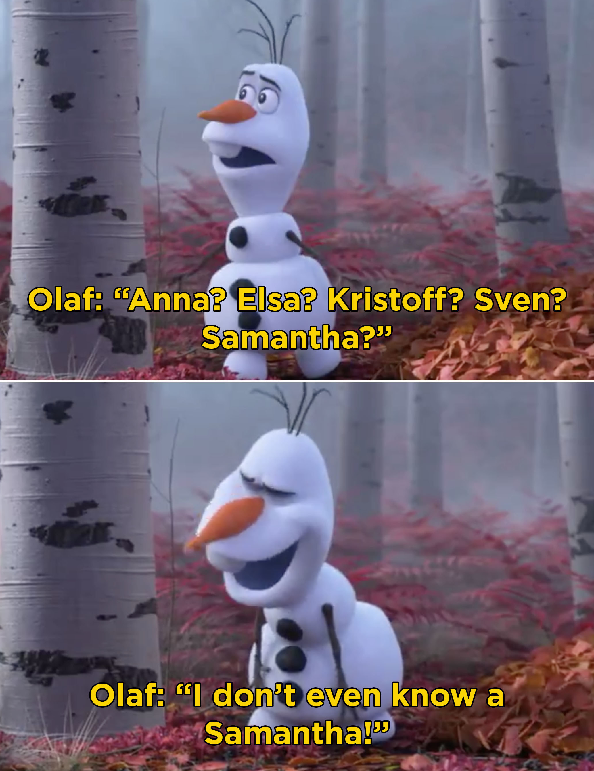 Olaf Jokes