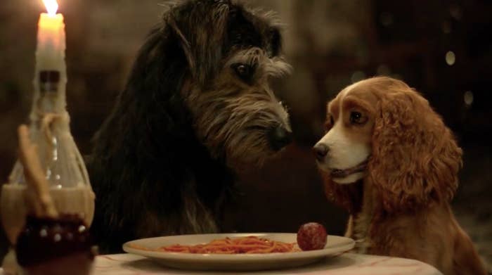 The New Lady And The Tramp Is Actually Great And Here Are The Tweets To Prove It They found these dogs and started. the new lady and the tramp is