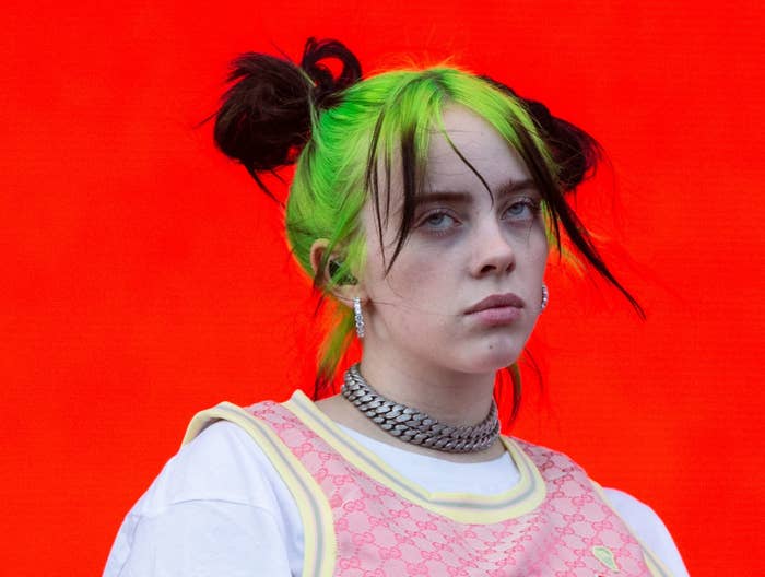Billie Eilish Explained Exactly What Happened In That Video Of A Fan ...