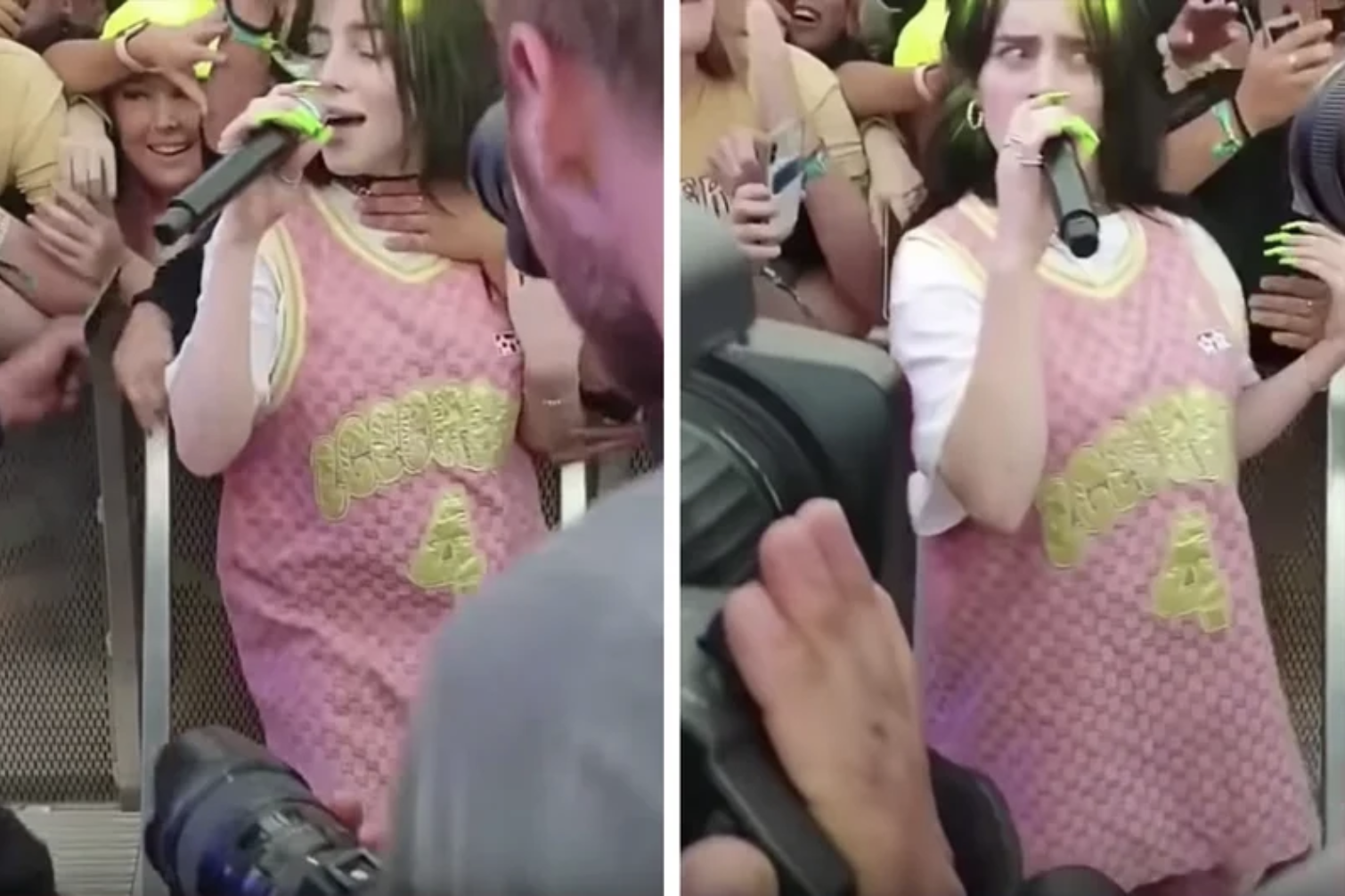 Opdatering Gepard aluminium Billie Eilish Explained Exactly What Happened In That Video Of A Fan  "Choking" Her During A Show