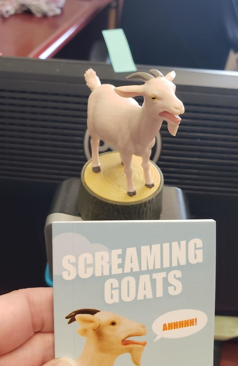 The small goat figurine and a close-up of the booklet