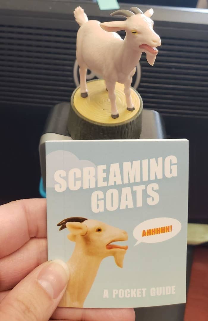 The screaming goat and a mini booklet of screaming goats