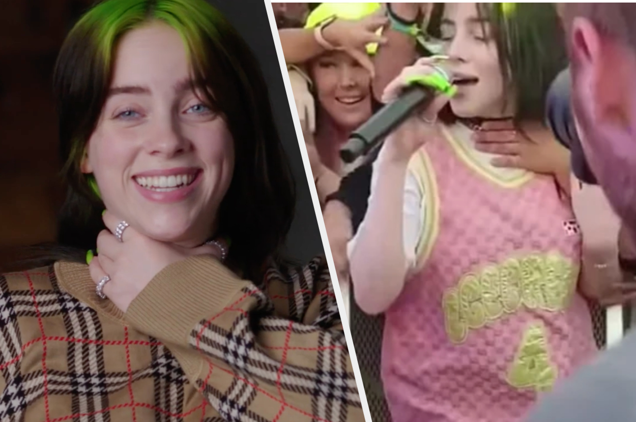 Billie Eilish Explained Exactly What Happened In That Video Of A Fan ...