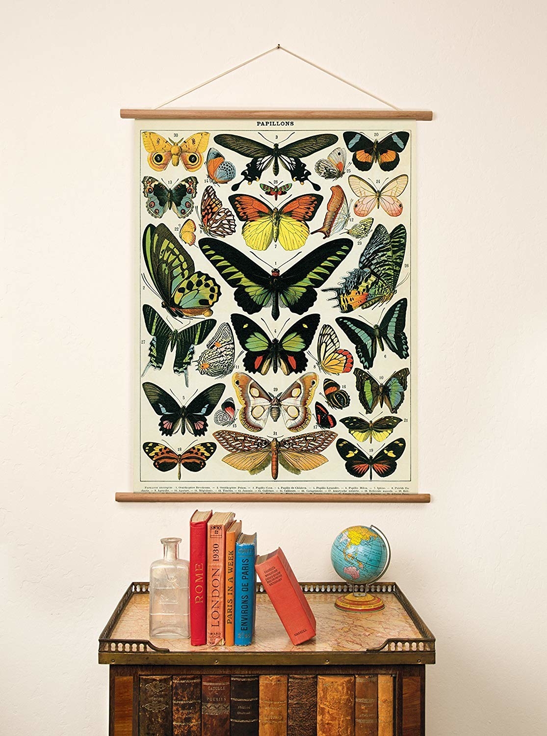 Poster with vintage butterfly illustrations 