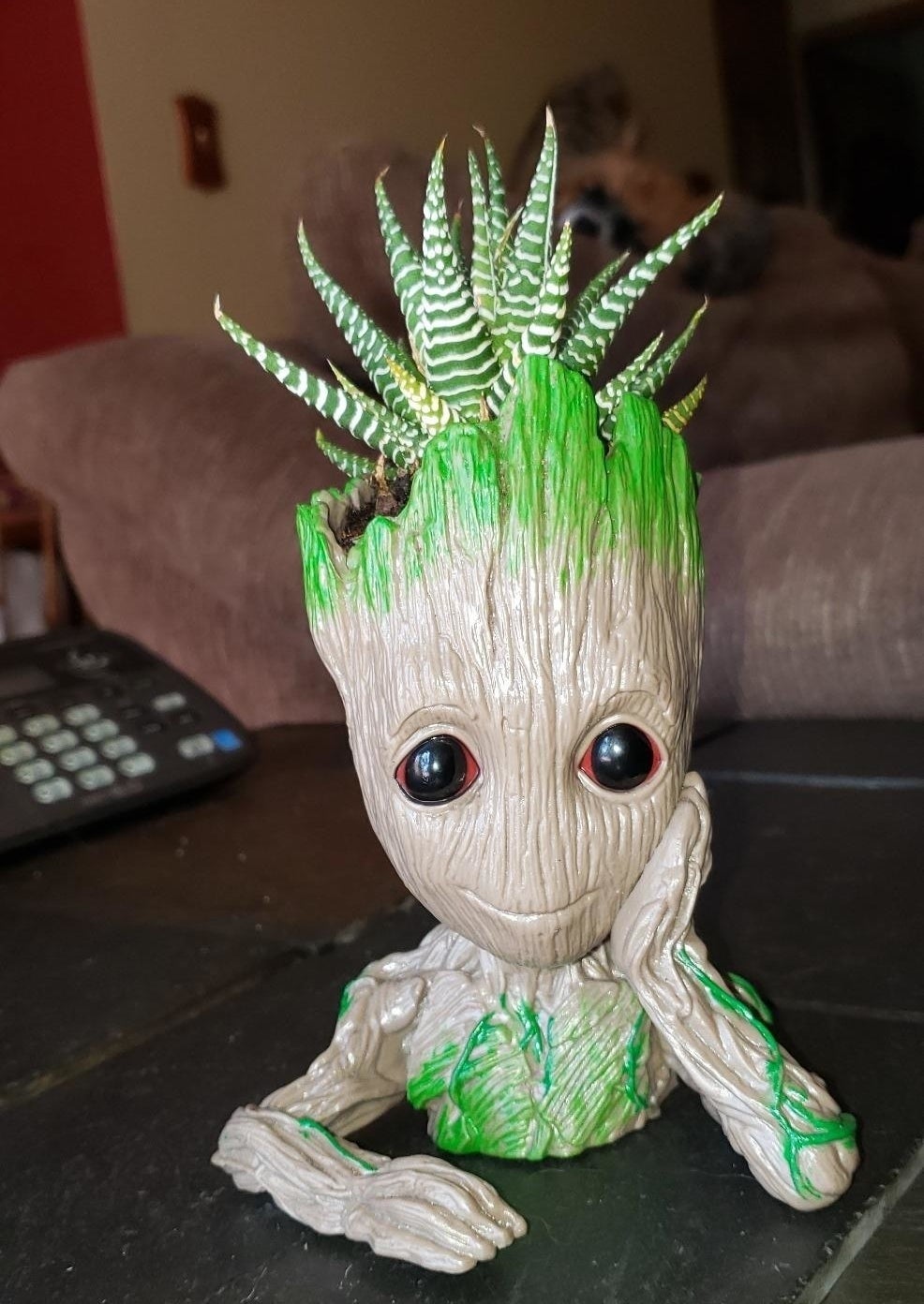 reviewer&#x27;s Groot flower pot with a succulent in it 