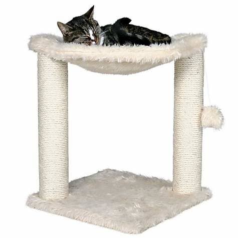Petco S Cyber Week Sale Is Happening Now And Honestly Your Pets