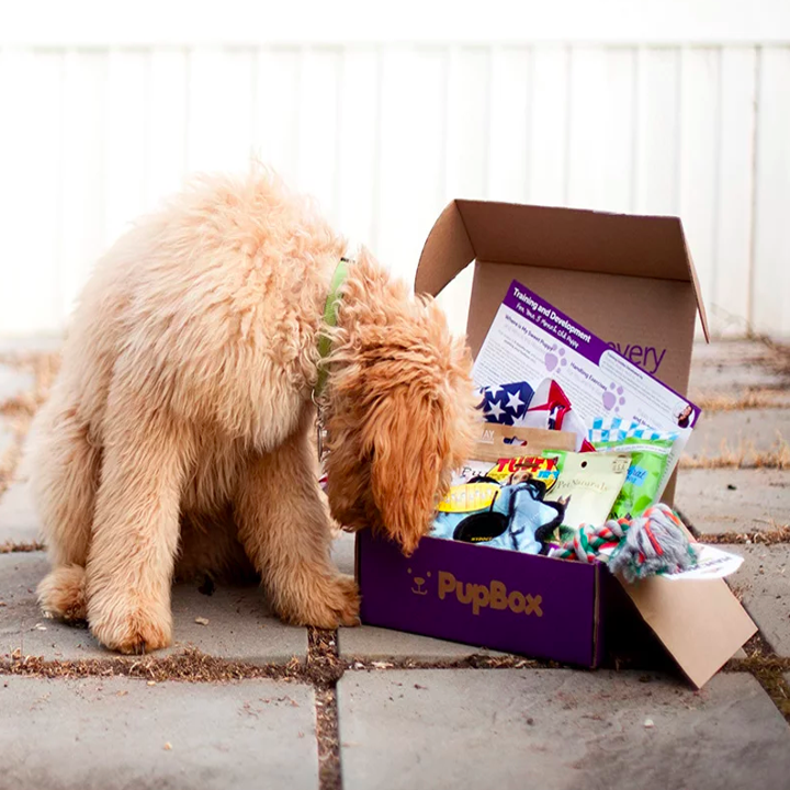 Petco S Cyber Week Sale Is Happening Now And Honestly Your Pets