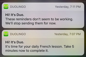 18 Funny Tweets About Duolingo Owl