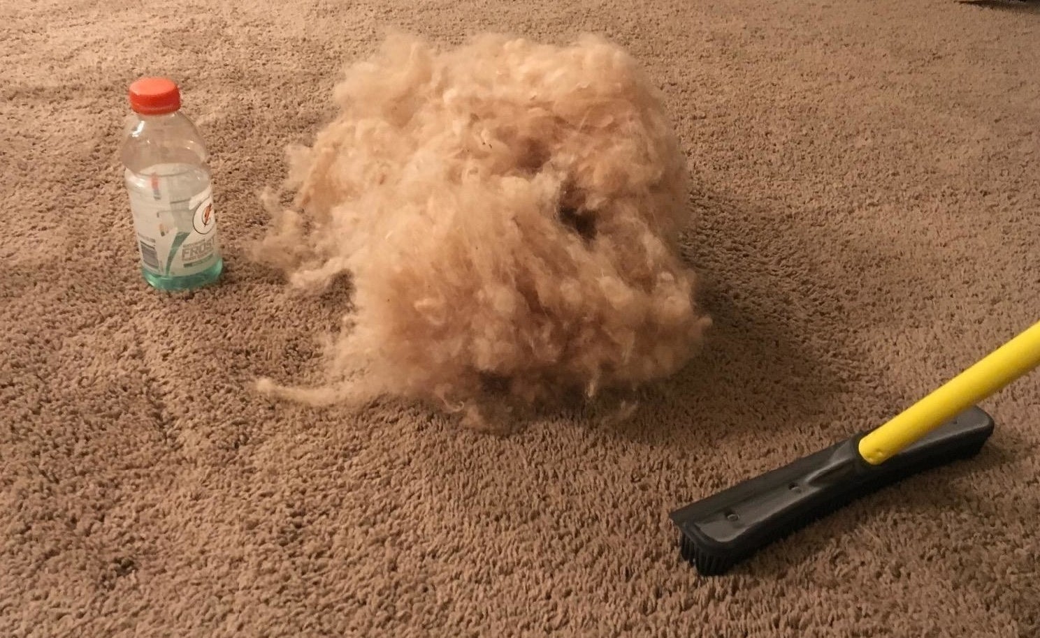 The broom sweeping up a huge pile of dog fur from the carpet 