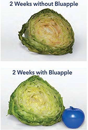 A head of lettuce without the bluapple looking brown and spoiled. Then, another head of lettuce with the bluapple looking crisp and fresh