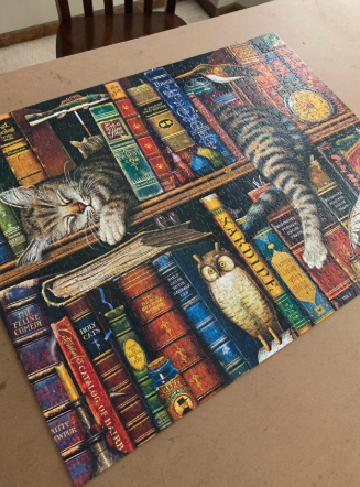 a puzzle of a cat lounging in books