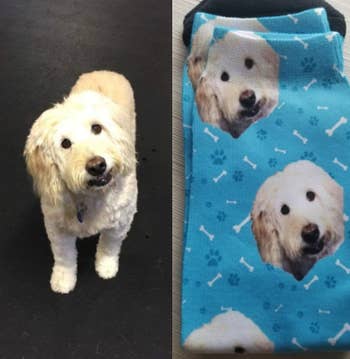 a reviewer's photo of a dog side by side with the socks with their face on it
