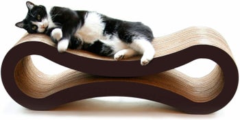 the figure-eight shaped lounger