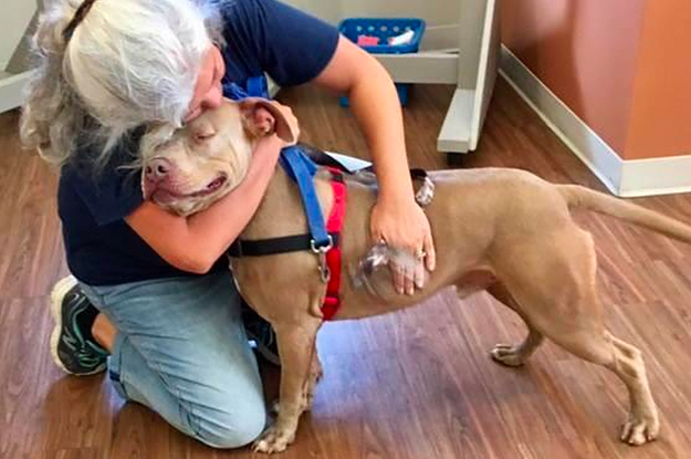 I'm an image I'm an image