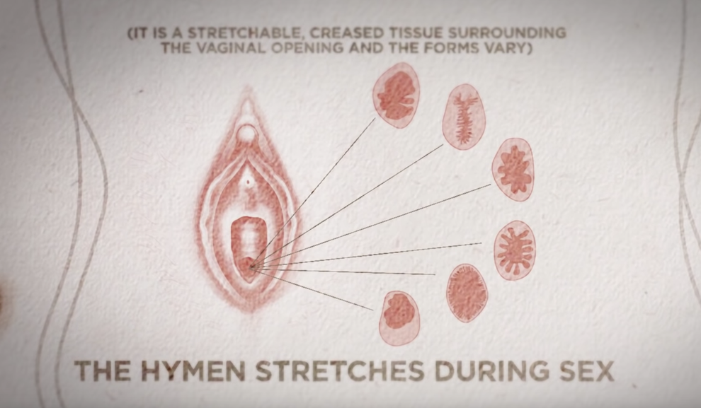is the hymen important