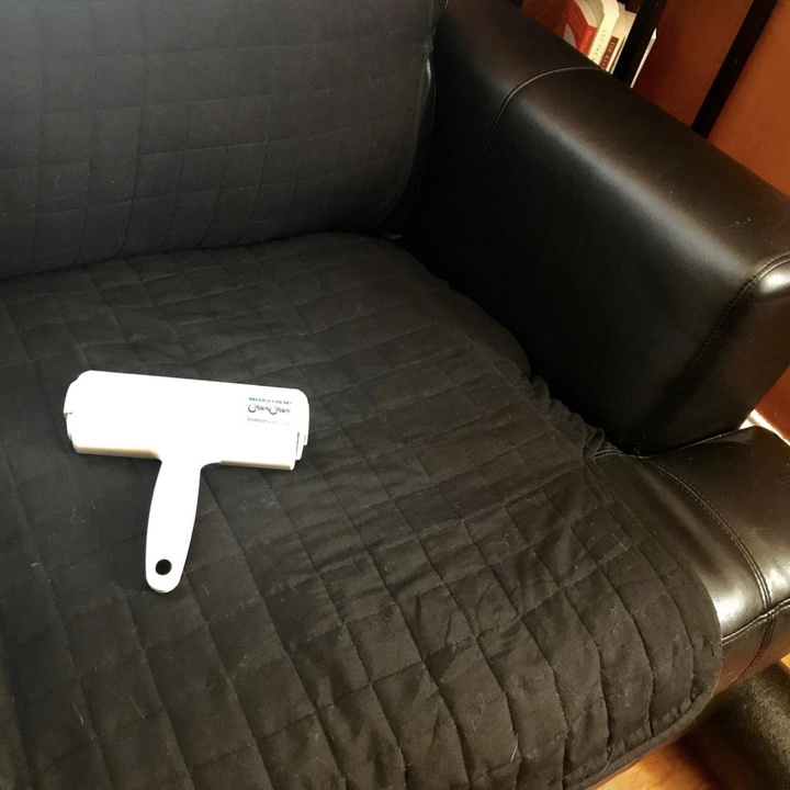 after the couch was cleaned