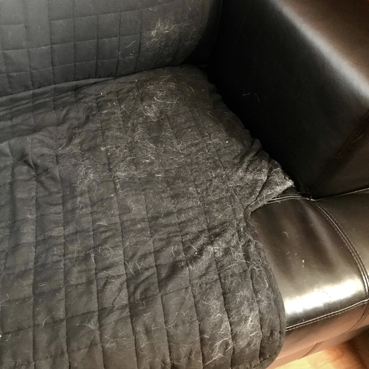 before the couch was cleaned