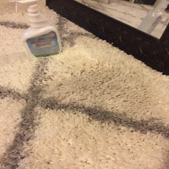 the same carpet with no stain 