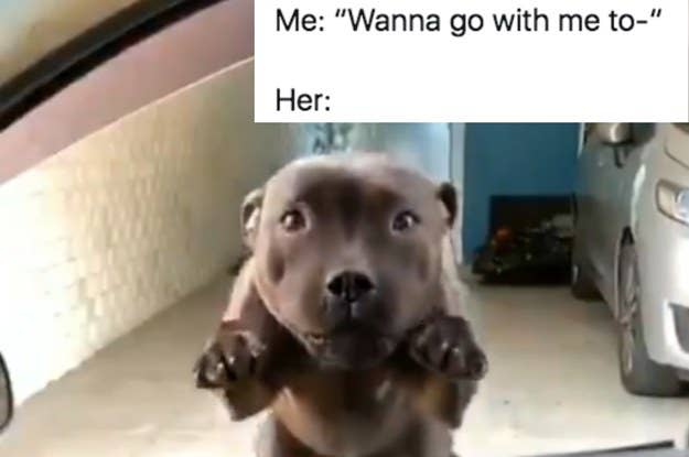 25 Genius Hacks That Make Having A Dog So Much Easier